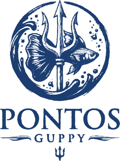 Pontos Guppy
